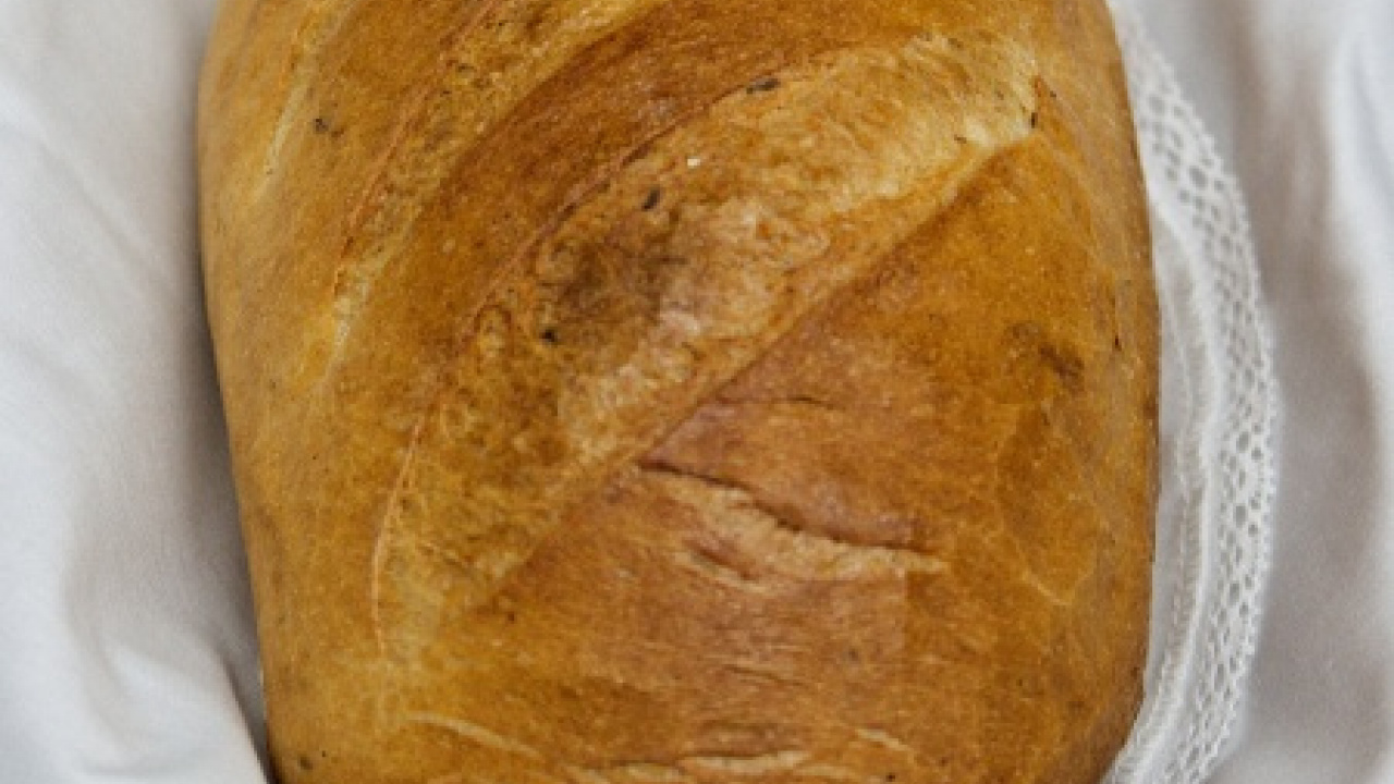 Fotografia fotogalérie Chlieb náš každodenný